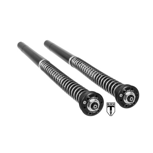 01-423-5862-0 BLACK-T Cartridge Kit Stage4 for Triumph Thruxton-R (2016-2018)