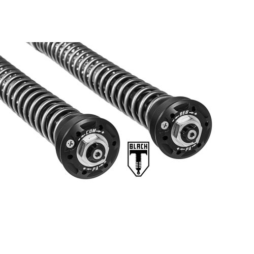 01-423-5862-0 BLACK-T Cartridge Kit Stage4 for Triumph Thruxton-R (2016-2018)