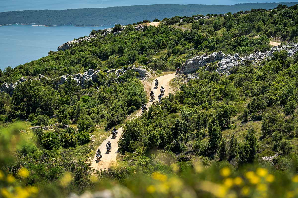 NEWS | ACT CAMP 2025