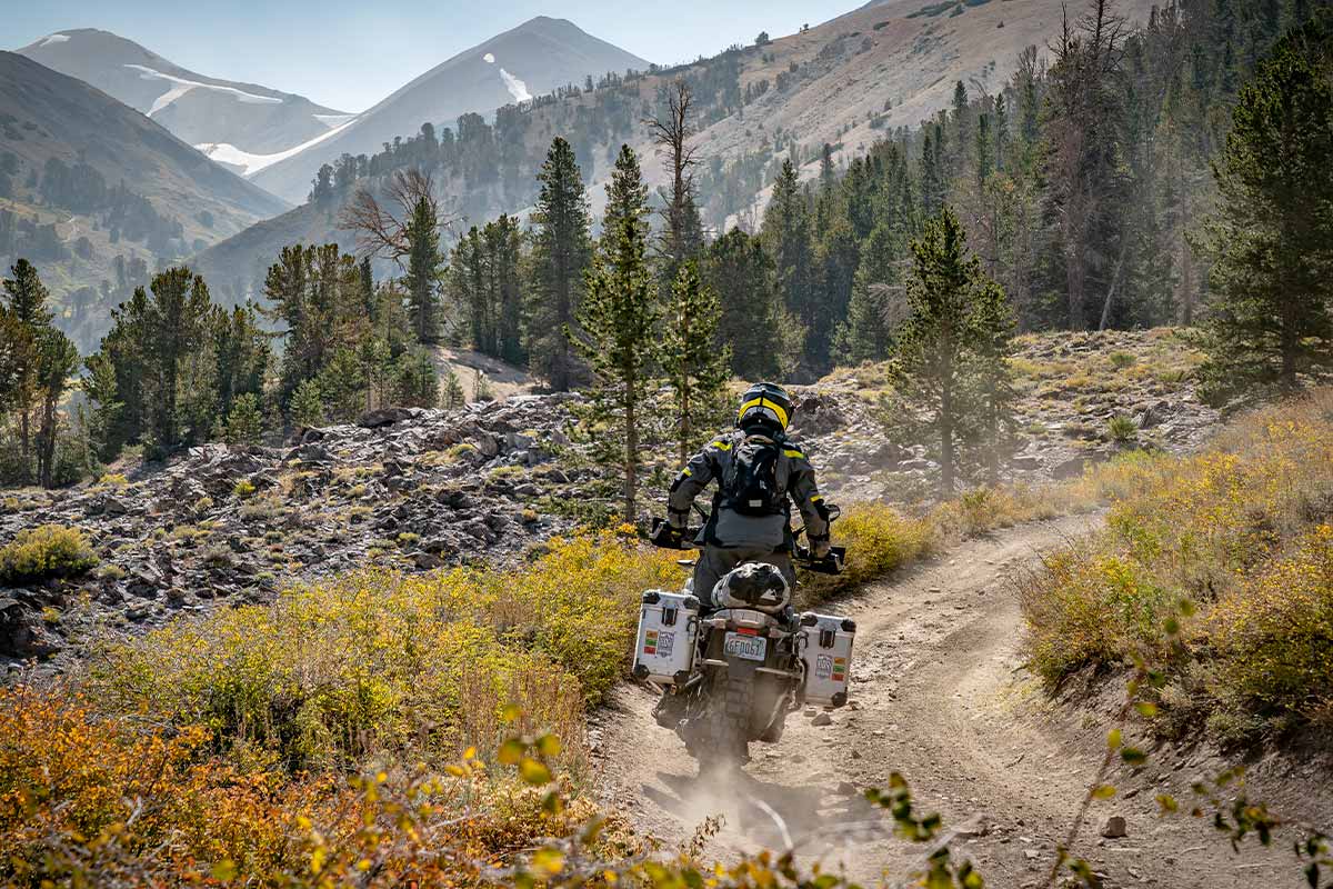 TRAVEL | NORTHERN CALIFORNIA BDR